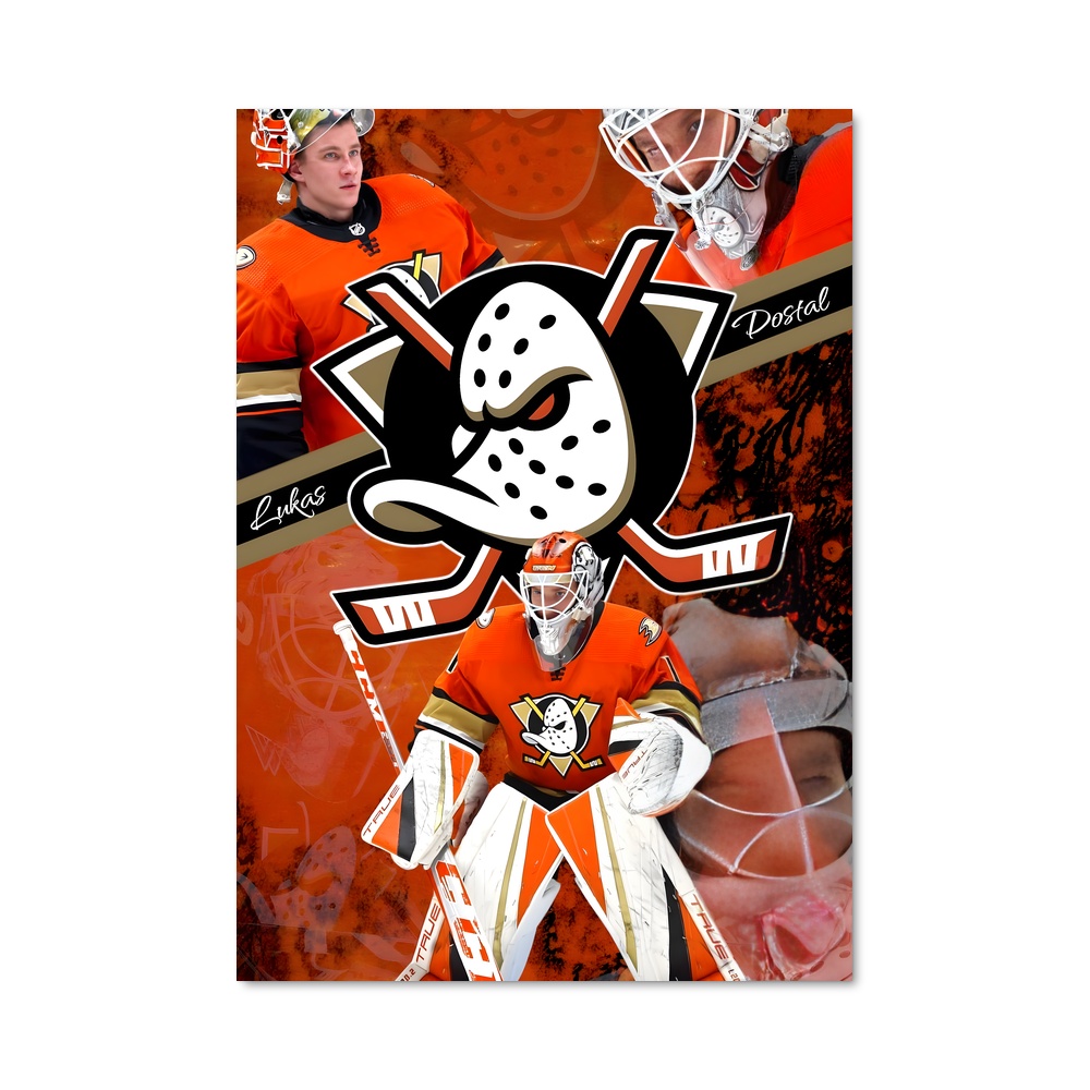 Poster Anaheim Flyers